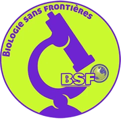 Logo BSF