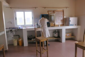 11-Bacteriologie-1-1