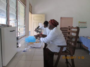 51 MAKOUA 301-3 BERNADETTE 01-2017