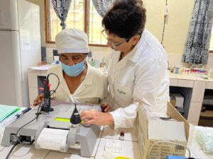 6-formation-hemostase