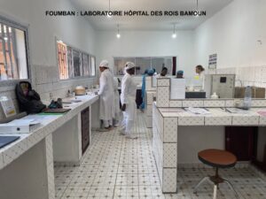 Labo ho╠épital des rois bamoun 2